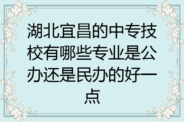 湖北宜昌的中专技校有哪些专业是公办还是民办的好一点
