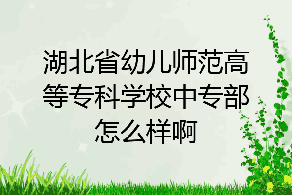 湖北省幼儿师范高等专科学校中专部怎么样啊