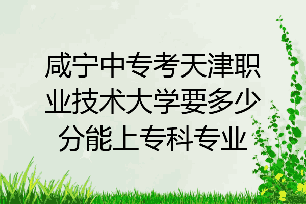 咸宁中专考天津职业技术大学要多少分能上专科专业