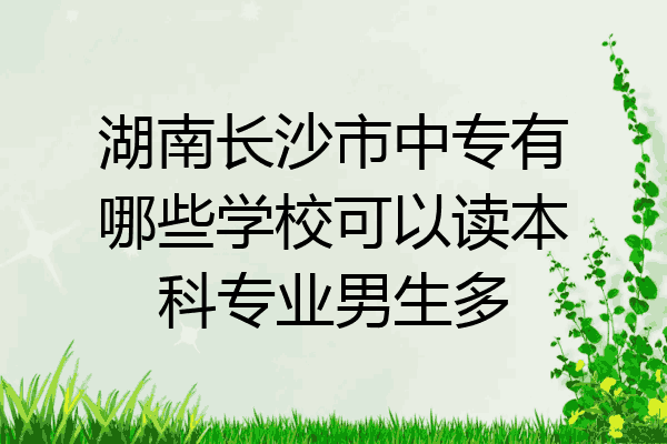 湖南长沙市中专有哪些学校可以读本科专业男生多