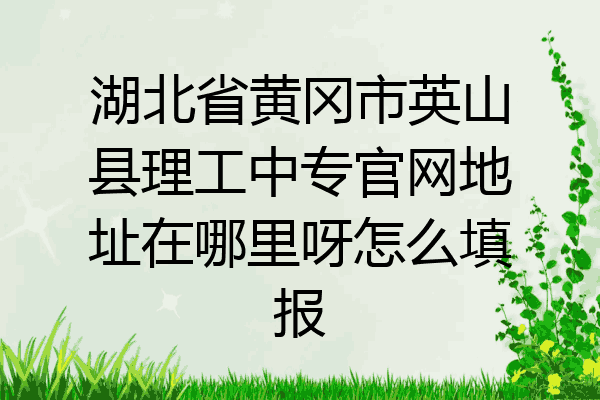 湖北省黄冈市英山县理工中专官网地址在哪里呀怎么填报
