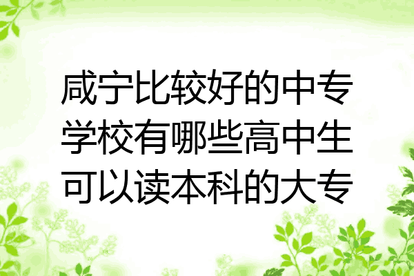 咸宁比较好的中专学校有哪些高中生可以读本科的大专