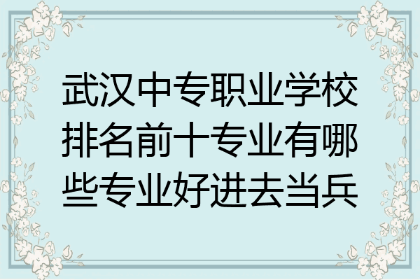 武汉中专职业学校排名前十专业有哪些专业好进去当兵
