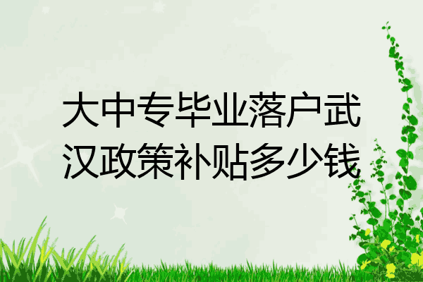 大中专毕业落户武汉政策补贴多少钱