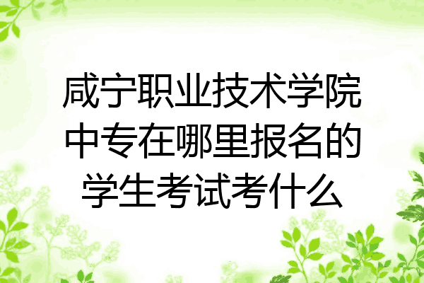 咸宁职业技术学院中专在哪里报名的学生考试考什么
