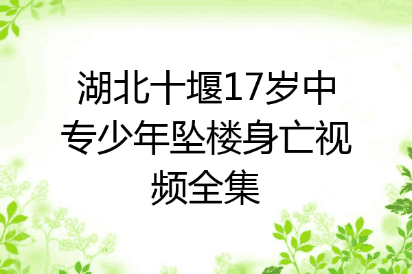 湖北十堰17岁中专少年坠楼身亡视频全集