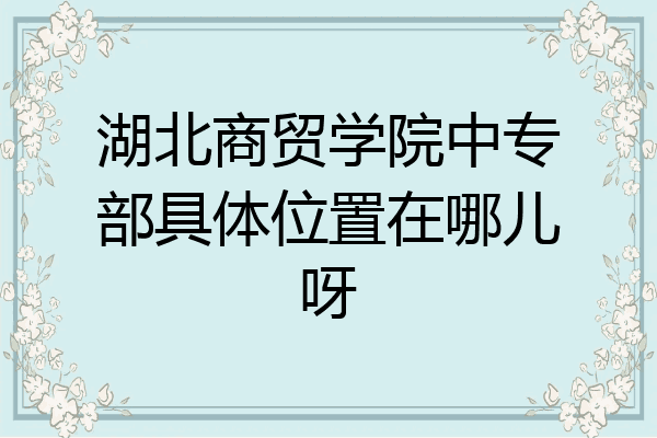 湖北商贸学院中专部具体位置在哪儿呀