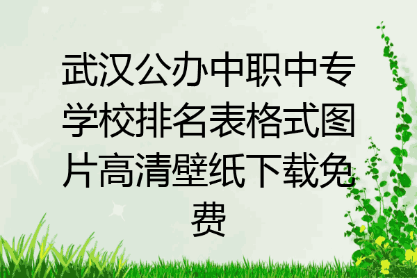 武汉公办中职中专学校排名表格式图片高清壁纸下载免费