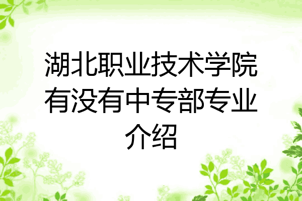 湖北职业技术学院有没有中专部专业介绍