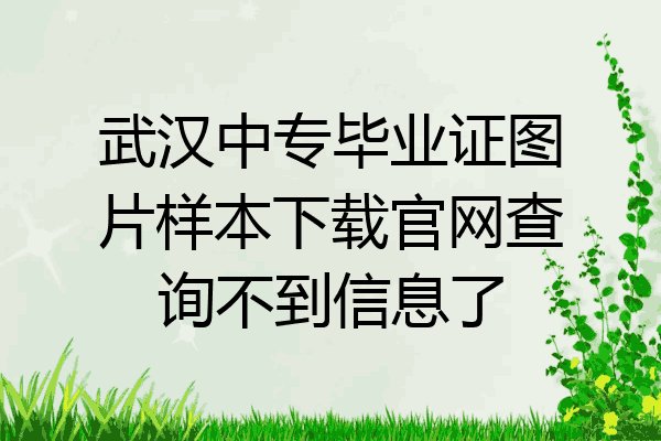 武汉中专毕业证图片样本下载官网查询不到信息了