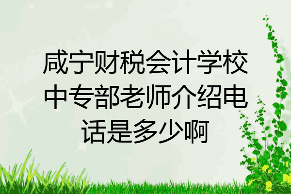 咸宁财税会计学校中专部老师介绍电话是多少啊