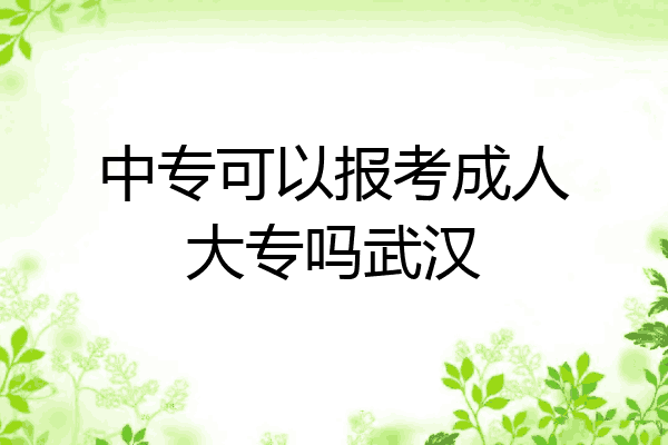 中专可以报考成人大专吗武汉