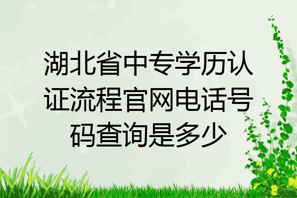 湖北省中专学历认证流程官网电话号码查询是多少