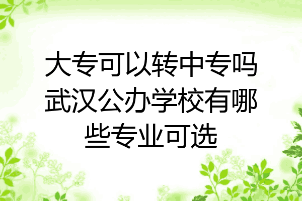 大专可以转中专吗武汉公办学校有哪些专业可选