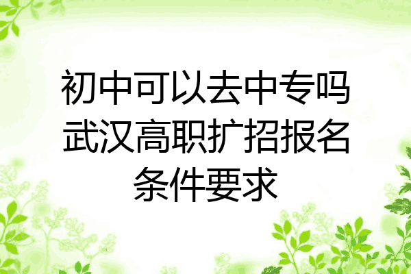 初中可以去中专吗武汉高职扩招报名条件要求
