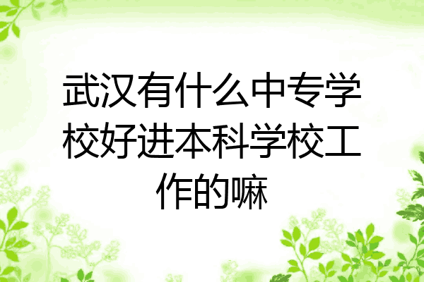 武汉有什么中专学校好进本科学校工作的嘛