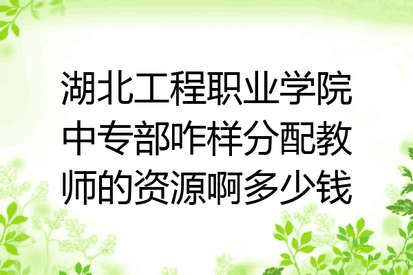 湖北工程职业学院中专部咋样分配教师的资源啊多少钱
