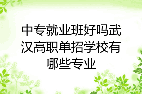 中专就业班好吗武汉高职单招学校有哪些专业