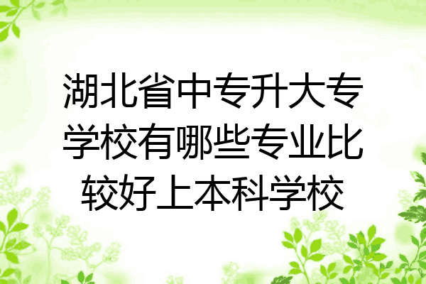 湖北省中专升大专学校有哪些专业比较好上本科学校