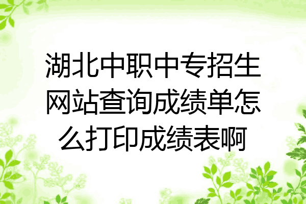 湖北中职中专招生网站查询成绩单怎么打印成绩表啊
