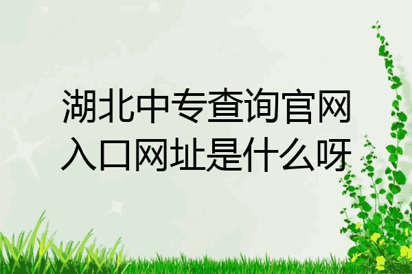 湖北中专查询官网入口网址是什么呀