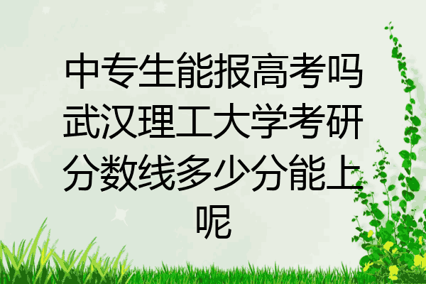 中专生能报高考吗武汉理工大学考研分数线多少分能上呢