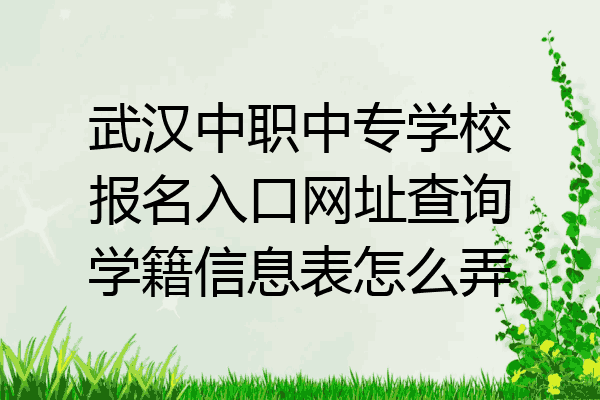 武汉中职中专学校报名入口网址查询学籍信息表怎么弄