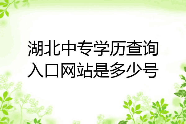 湖北中专学历查询入口网站是多少号