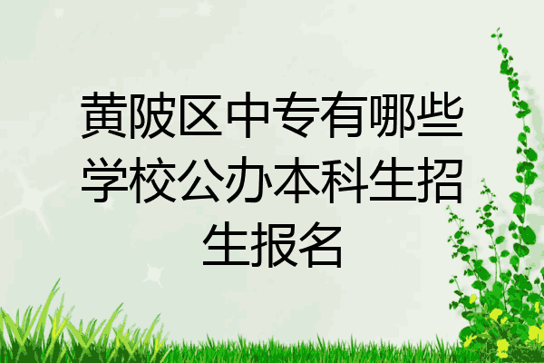 黄陂区中专有哪些学校公办本科生招生报名