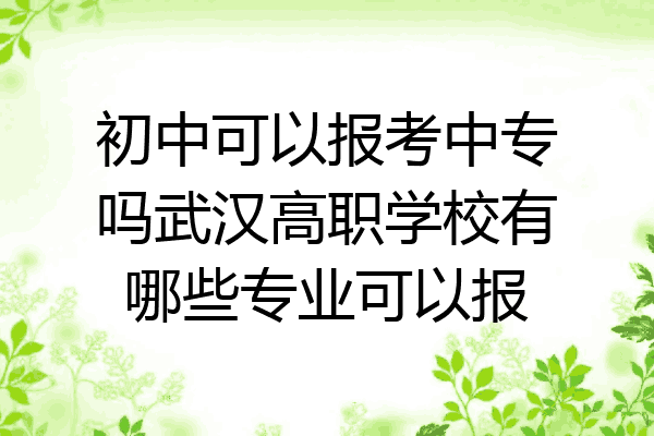 初中可以报考中专吗武汉高职学校有哪些专业可以报