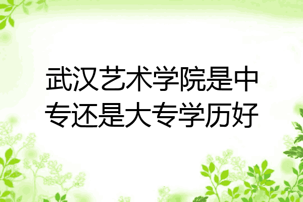 武汉艺术学院是中专还是大专学历好