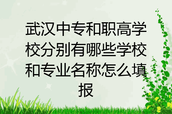 武汉中专和职高学校分别有哪些学校和专业名称怎么填报