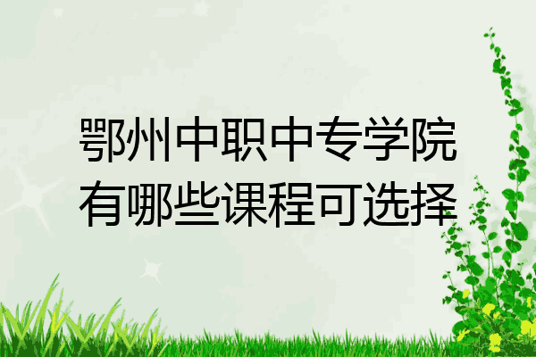 鄂州中职中专学院有哪些课程可选择