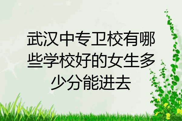 武汉中专卫校有哪些学校好的女生多少分能进去