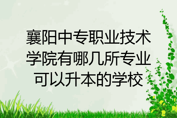 襄阳中专职业技术学院有哪几所专业可以升本的学校