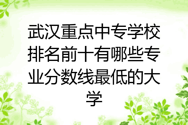 武汉重点中专学校排名前十有哪些专业分数线最低的大学