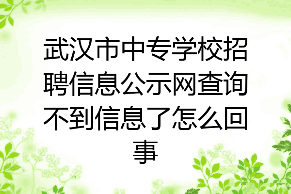 武汉市中专学校招聘信息公示网查询不到信息了怎么回事