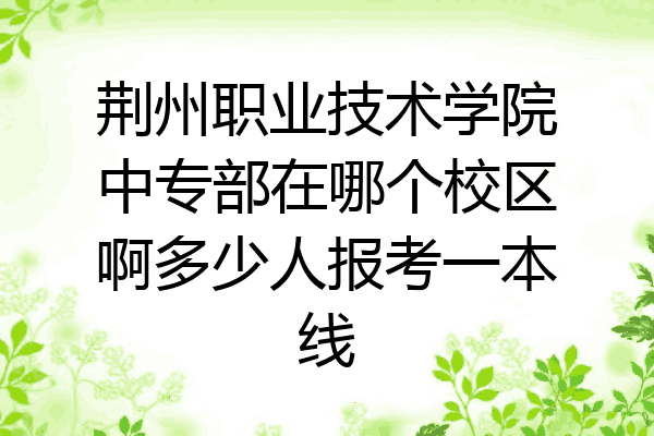 荆州职业技术学院中专部在哪个校区啊多少人报考一本线