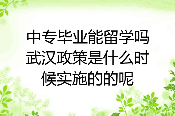 中专毕业能留学吗武汉政策是什么时候实施的的呢