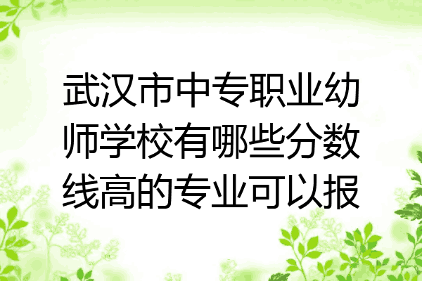 武汉市中专职业幼师学校有哪些分数线高的专业可以报