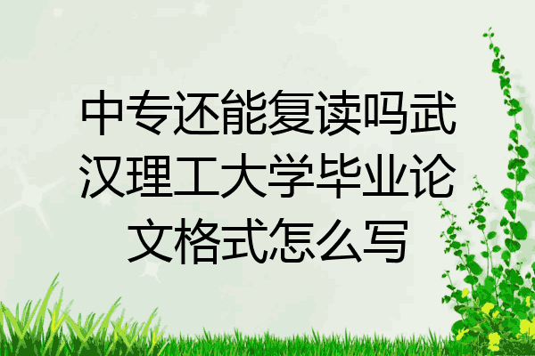 中专还能复读吗武汉理工大学毕业论文格式怎么写