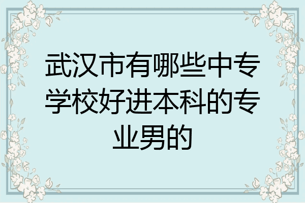 武汉市有哪些中专学校好进本科的专业男的
