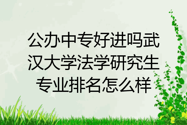 公办中专好进吗武汉大学法学研究生专业排名怎么样