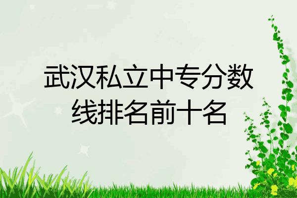 武汉私立中专分数线排名前十名