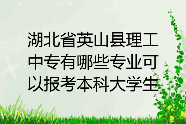 湖北省英山县理工中专有哪些专业可以报考本科大学生