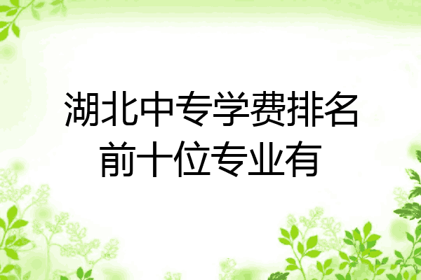 湖北中专学费排名前十位专业有