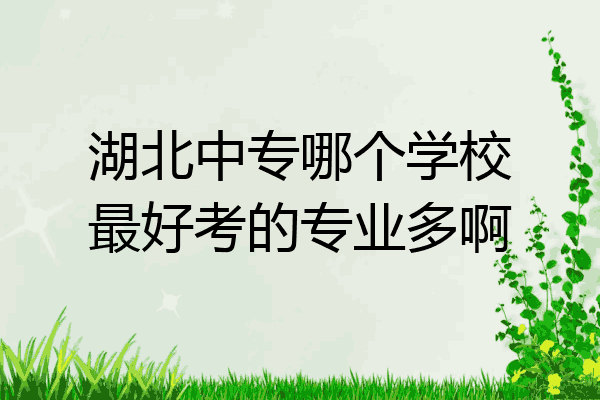 湖北中专哪个学校最好考的专业多啊