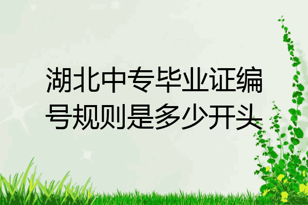 湖北中专毕业证编号规则是多少开头