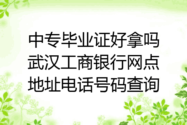 中专毕业证好拿吗武汉工商银行网点地址电话号码查询