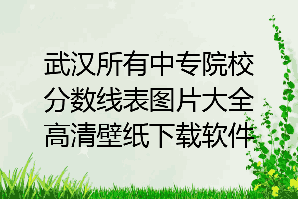 武汉所有中专院校分数线表图片大全高清壁纸下载软件